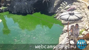 Lukomorye Ecopark Webcam, Sevastopol