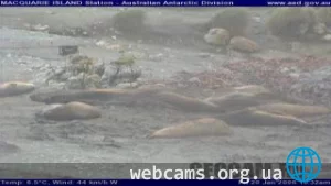 Macquarie Island station webcam
